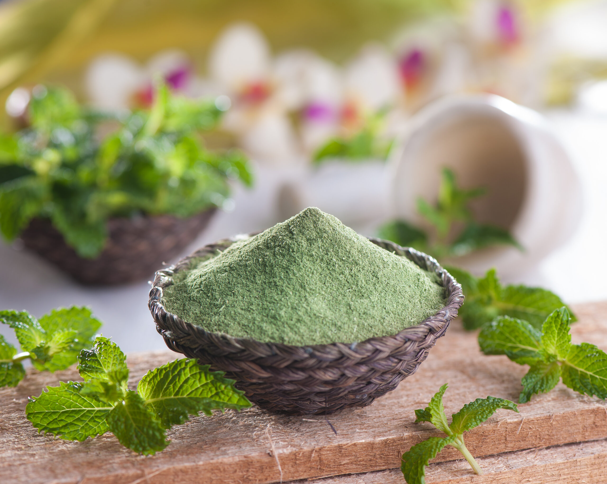 BMB Masala - Pudina Powder- 33